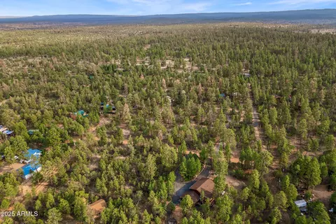 2710 Hooks Way, Overgaard, AZ 85933 photo 38