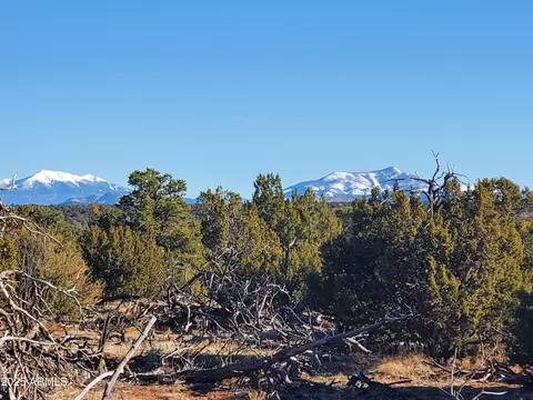 2589 N Lipan Rd #203, Williams, AZ 86046
