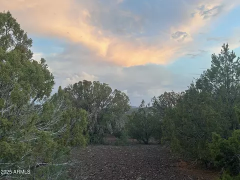 lot11 Uphill Trl #11, Vernon, AZ 85940