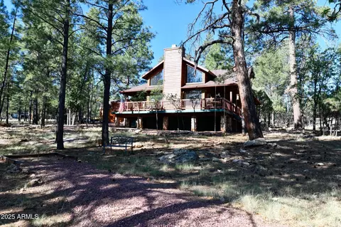 2485 Apache Dr, Happy Jack, AZ 86024 photo 3