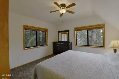 2485 Apache Dr, Happy Jack, AZ 86024 photo 16