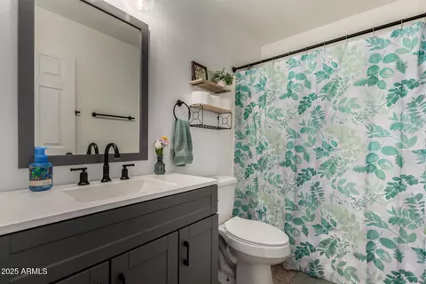 Bath - 2082 W 23rd Ct, Apache Junction, AZ 85120 photo 1 of 2