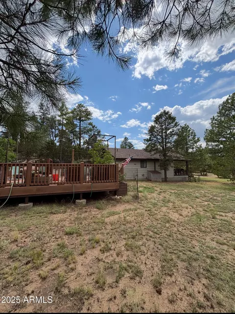 Other - 3675 Pine Rim Dr, Overgaard, AZ 85933 photo 4 of 7