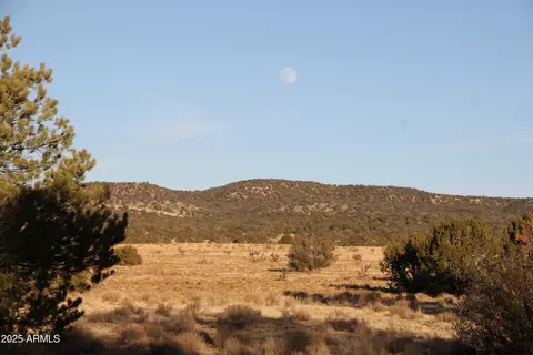 Wrangler N Wrangler Ridge Rd Road #30118203, Seligman, AZ 86337