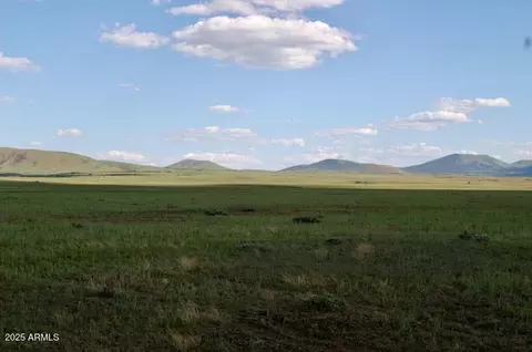 lot55 Concho Lakeland -- #55, Concho, AZ 85924