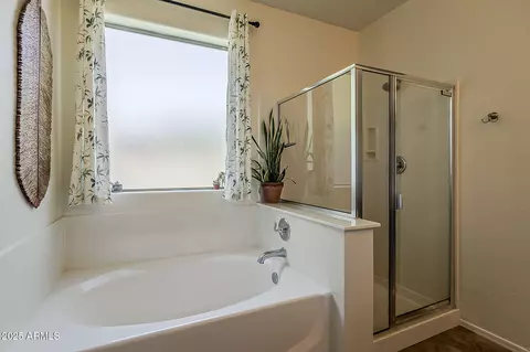 Bath - 11308 E Sable Ave, Mesa, AZ 85212 photo 3 of 4