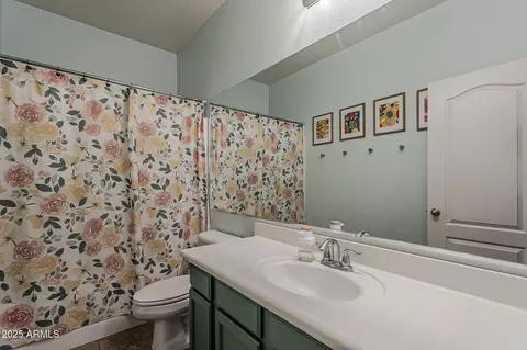 Bath - 11308 E Sable Ave, Mesa, AZ 85212 photo 4 of 4