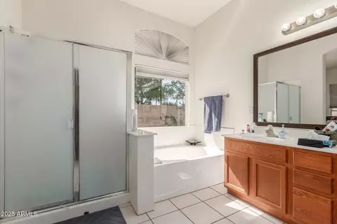 Bath - 1818 S Saddle St, Gilbert, AZ 85233 photo 2 of 3