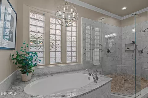 Bath - 458 E Joseph Way, Gilbert, AZ 85295 photo 3 of 9