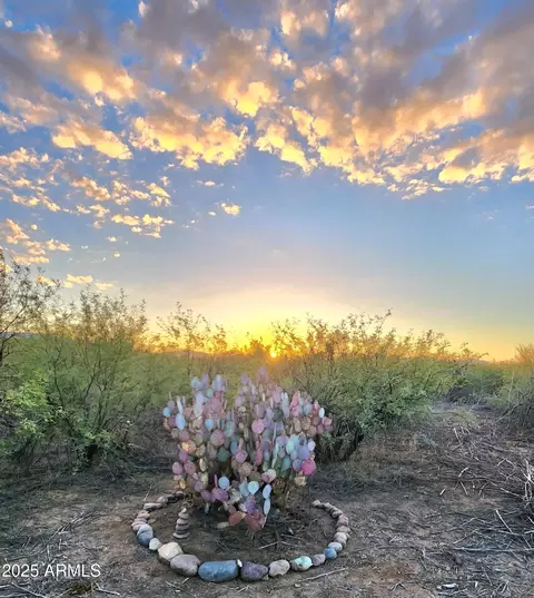 13122 W Dusty Flat Pl #-, Tucson, AZ 85735