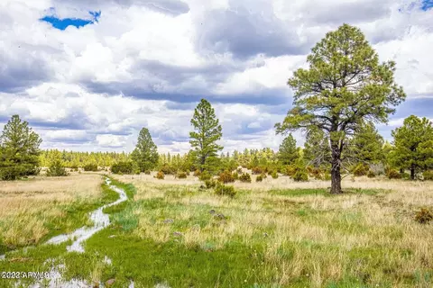 000 Dipping Vat Spring Fire Rd #-, Vernon, AZ 85940