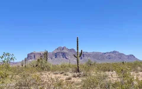 11101 E University Dr #171, Apache Junction, AZ 85120 photo 60