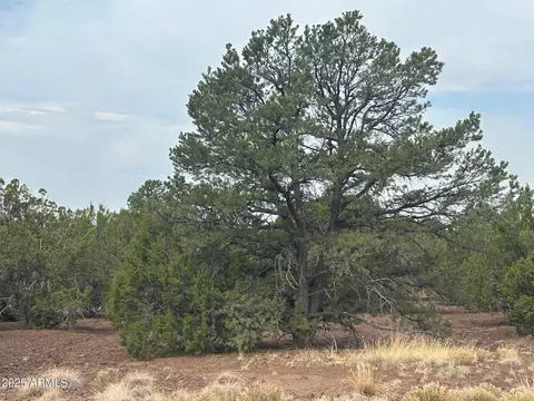 lot2 Stanford Dr #2, Vernon, AZ 85940