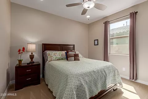 Bedroom - 3681 E Narrowleaf Dr, Gilbert, AZ 85298 photo 7 of 8