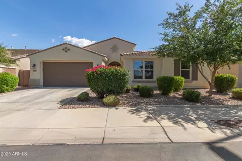 3681 E Narrowleaf Dr, Gilbert, AZ 85298