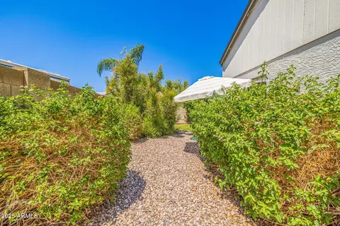 6636 E Ivyglen St, Mesa, AZ 85205 photo 35