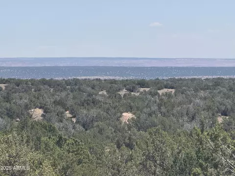 lot120 B Red Sky Rnch #120B, Saint Johns, AZ 85936