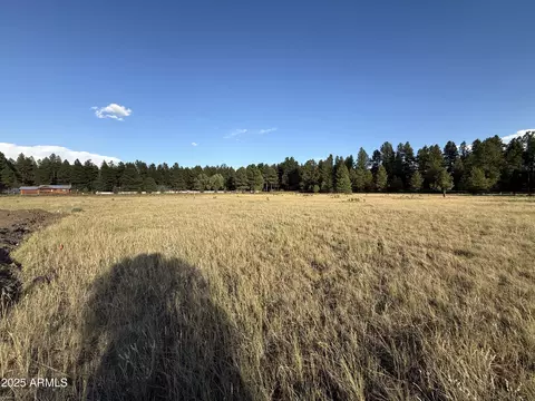 213 High Point Ln #8, Mormon Lake, AZ 86038