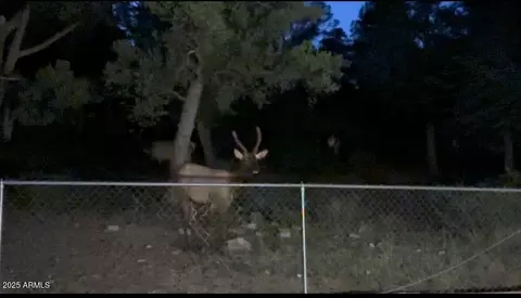 Other - 2012 N Fredanovich Cir, Payson, AZ 85541 photo 3 of 3