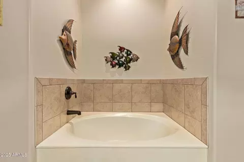 Bath - 6202 E Mckellips Rd #226, Mesa, AZ 85215 photo 2 of 4