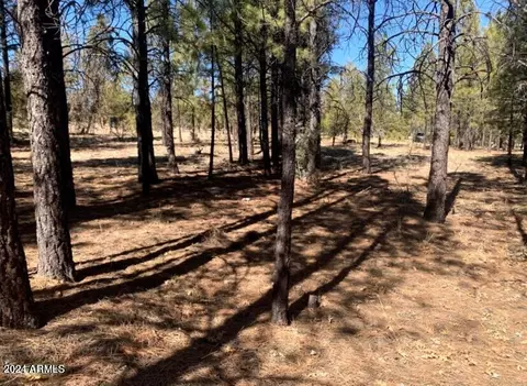 5236 Taos Cir #152, Happy Jack, AZ 86024
