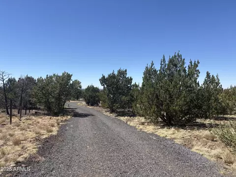 Other - 1182 E Indian Blanket Rd, Williams, AZ 86046 photo 3 of 7