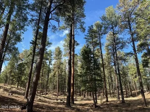 2184 N N Us-180 -- #101-46-020V, Alpine, AZ 85920