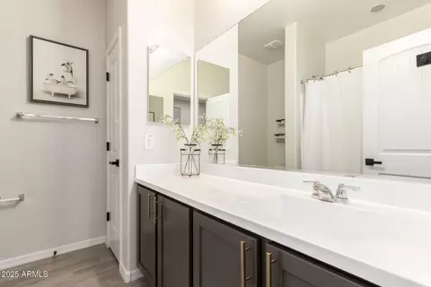 Bath - 10154 E Revolution Dr, Mesa, AZ 85212 photo 3 of 3