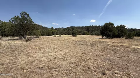 281 E Cline Xing #C1-A, Young, AZ 85554 photo 2