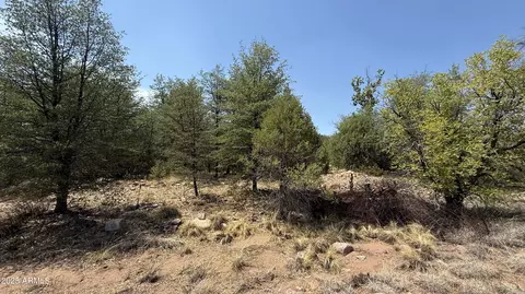 281 E Cline Xing #C1-A, Young, AZ 85554 photo 5