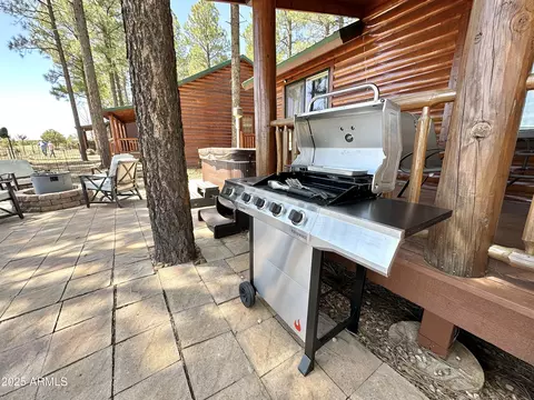Exterior - 2721 High Pine Loop, Overgaard, AZ 85933 photo 5 of 8