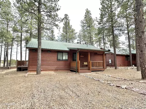Exterior - 2721 High Pine Loop, Overgaard, AZ 85933 photo 8 of 8