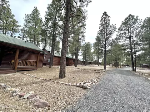 Other - 2721 High Pine Loop, Overgaard, AZ 85933 photo 7 of 8