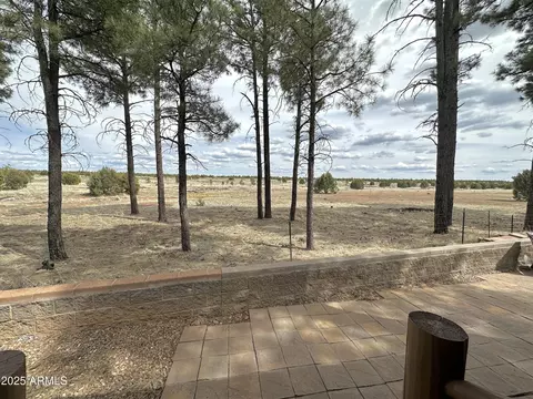 Exterior - 2721 High Pine Loop, Overgaard, AZ 85933 photo 7 of 8