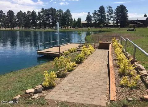 View/Area - 2721 High Pine Loop, Overgaard, AZ 85933 photo 1 of 1
