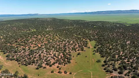 39 W 93 Acre W Titan Ranch Rd #318, Seligman, AZ 86337