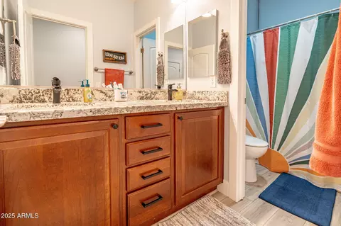 Bath - 3069 E Agritopia Loop N, Gilbert, AZ 85296 photo 8 of 9