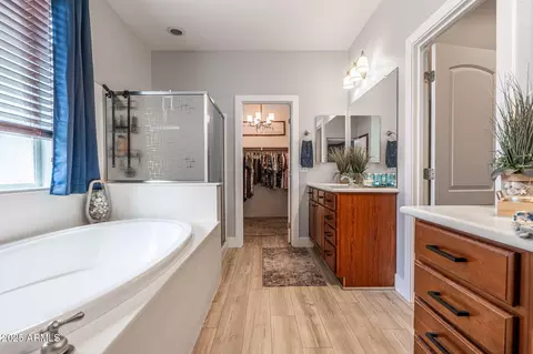 Bath - 3069 E Agritopia Loop N, Gilbert, AZ 85296 photo 2 of 9