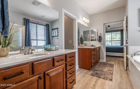 Bath - 3069 E Agritopia Loop N, Gilbert, AZ 85296 photo 3 of 9