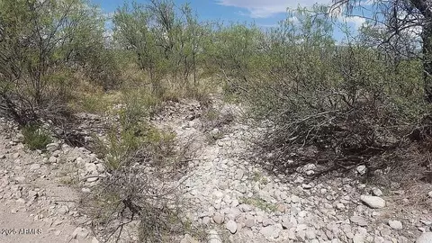 37 Acres Blacktail Rd #-, San Simon, AZ 85632 photo 4