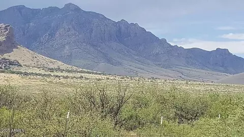 37 Acres Blacktail Rd #-, San Simon, AZ 85632 photo 8