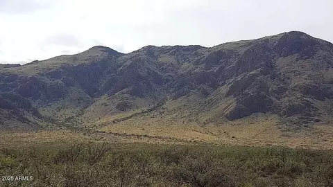 37 Acres Blacktail Rd #-, San Simon, AZ 85632 photo 5