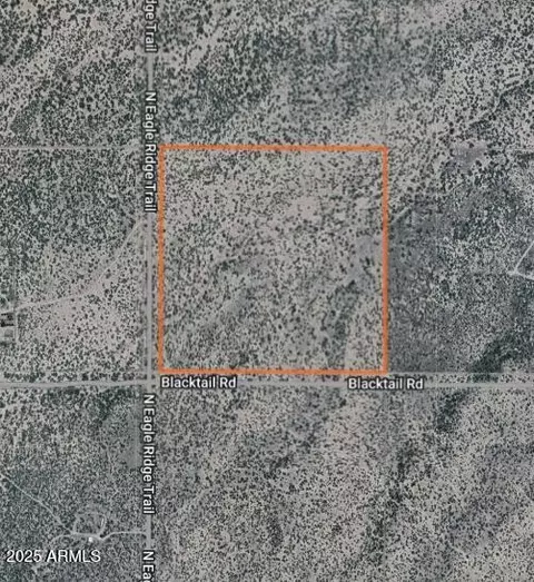 37 Acres Blacktail Rd #-, San Simon, AZ 85632 photo 2