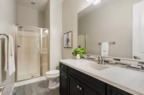 Bath - 3014 E Desert Ln, Phoenix, AZ 85042 photo 3 of 4