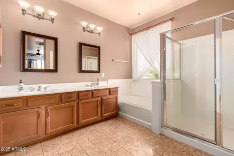 Bath - 250 E Hillside St, Mesa, AZ 85201 photo 2 of 4
