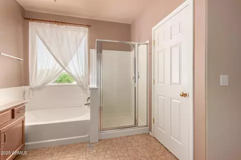 Bath - 250 E Hillside St, Mesa, AZ 85201 photo 3 of 4