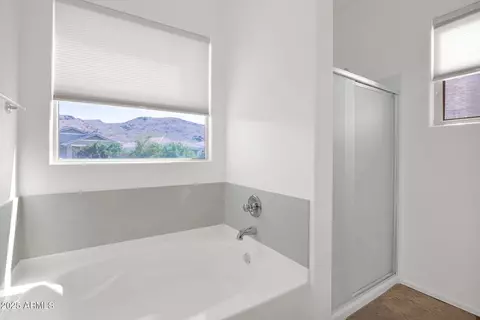 Bath - 3829 E Branham Ln, Phoenix, AZ 85042 photo 3 of 3