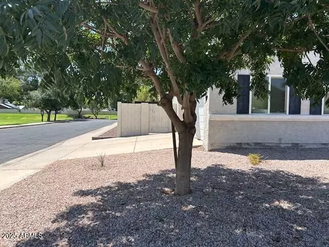 521 Encinas Ave, Gilbert, AZ 85234 photo 3