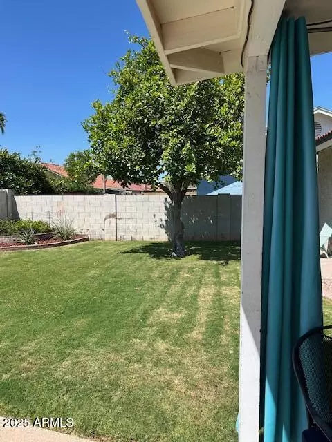 521 Encinas Ave, Gilbert, AZ 85234 photo 8