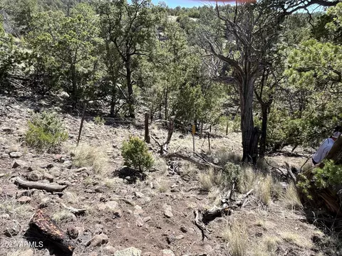 NNN W Doubletree Road #3, Eagar, AZ 85925 photo 8